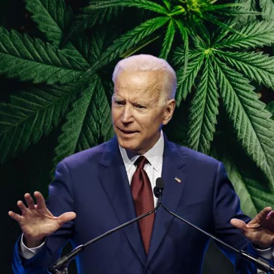 Biden podría legalizar la marihuana en solitario pero ni siquiera está indultando a los presos por cannabis