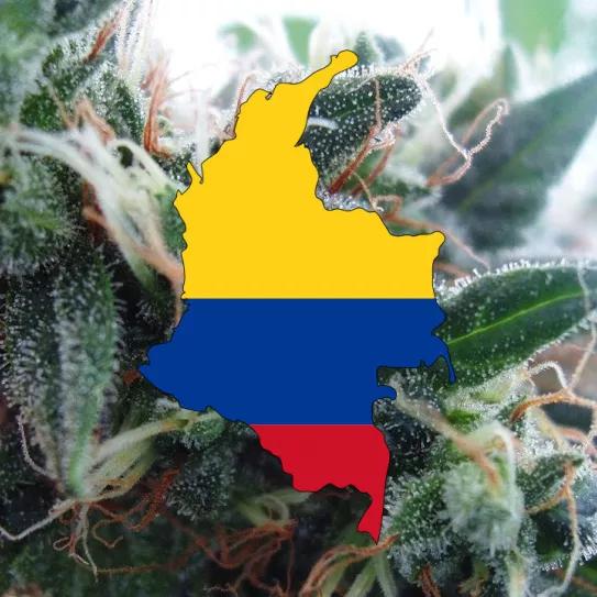 El Congreso de Colombia tumba el proyecto de regulación del cannabis recreativo