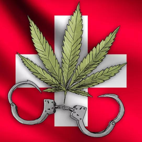 Suiza prepara a sus policías para la llegada del programa de acceso al cannabis para adultos