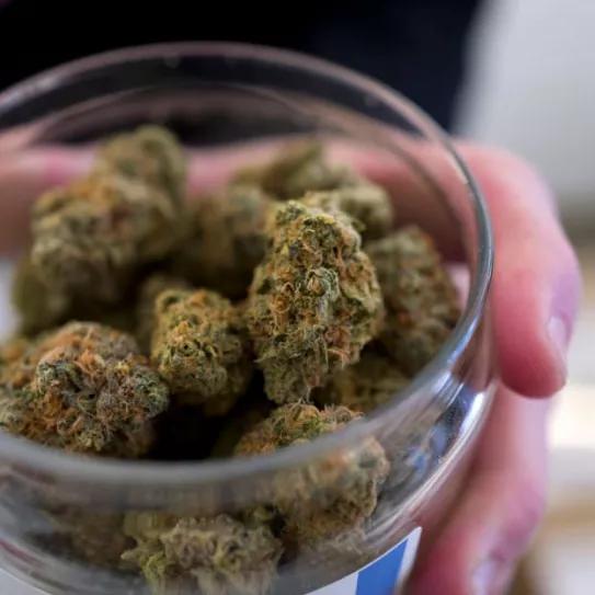 La Audiencia de Sevilla absuelve a los responsables de un club cannábico