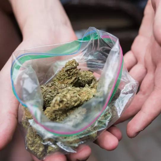 La Delegación del Gobierno de Andalucía anula una multa de cannabis por ser para uso medicinal 