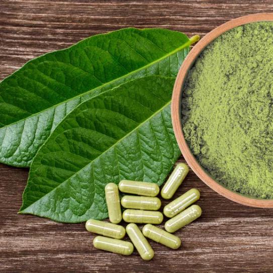 La OMS recomienda no fiscalizar el kratom