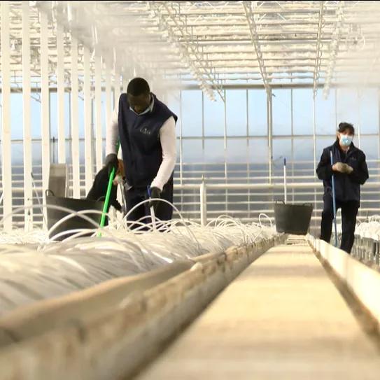 Ondara se compromete a reincorporar a los 151 empleados cuando consiga el permiso de la AEMPS   