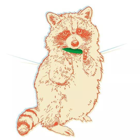 Sobredosis en Canadá Por Oswaldo Pérez Cabrera 