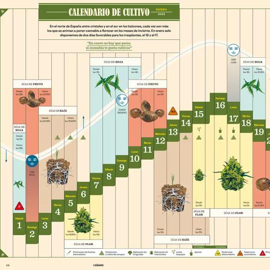 Calendario de cultivo biodinámico enero 2022