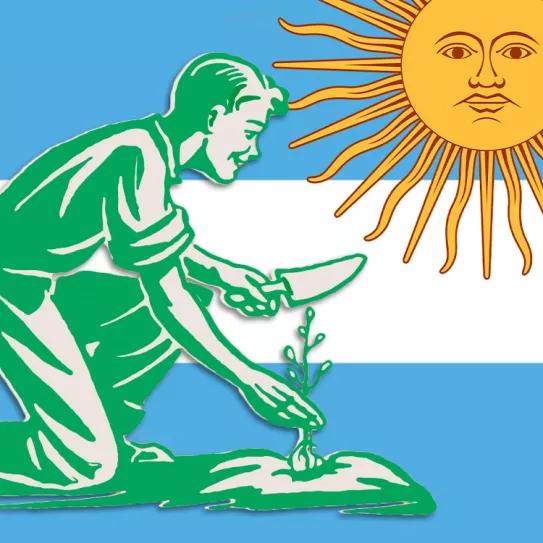 Proponen la despenalización del autocultivo de cannabis en Argentina