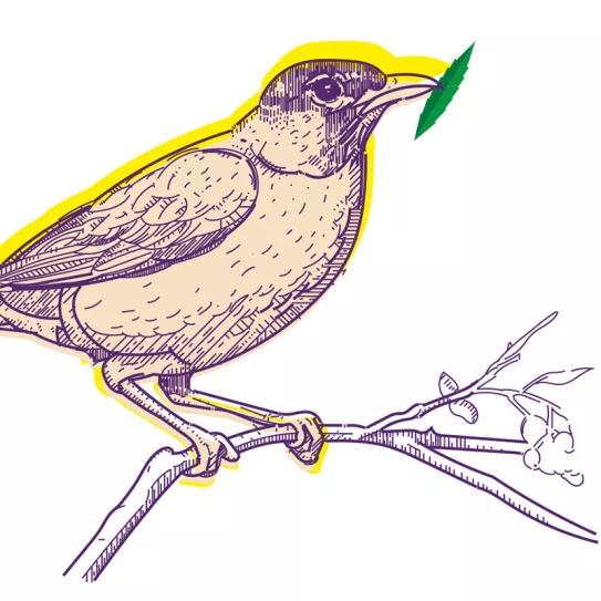 Detroit Por Oswaldo Pérez Cabrera 