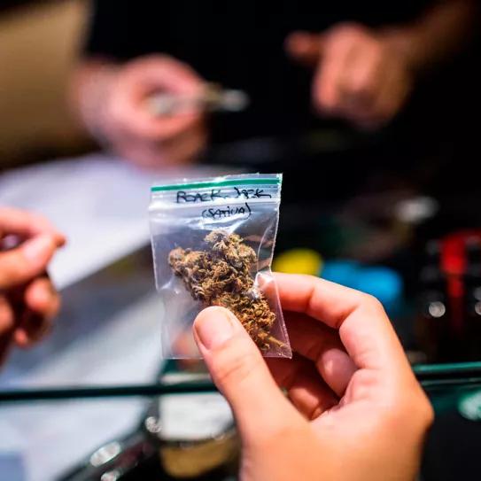 El Ayuntamiento de Barcelona inspecciona los clubs de cannabis sin aclarar los objetivos