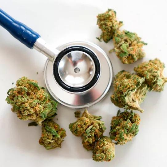 La subcomisión para estudiar el cannabis medicinal arrancará la próxima semana