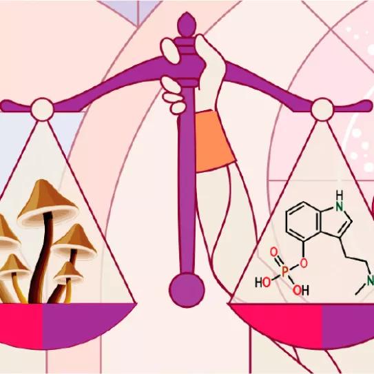 Un tribunal de EE UU rechaza una demanda contra la DEA por no permitir tratamientos con psilocibina