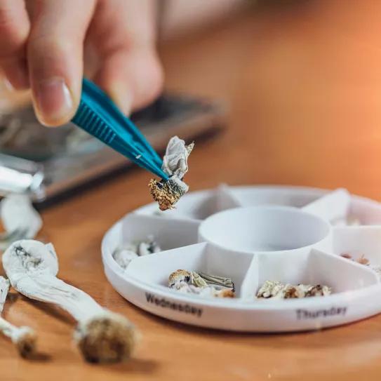 El efecto antidepresivo de la psilocibina se prolonga hasta los 12 meses en un estudio 