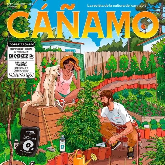 Revista Cáñamo #291