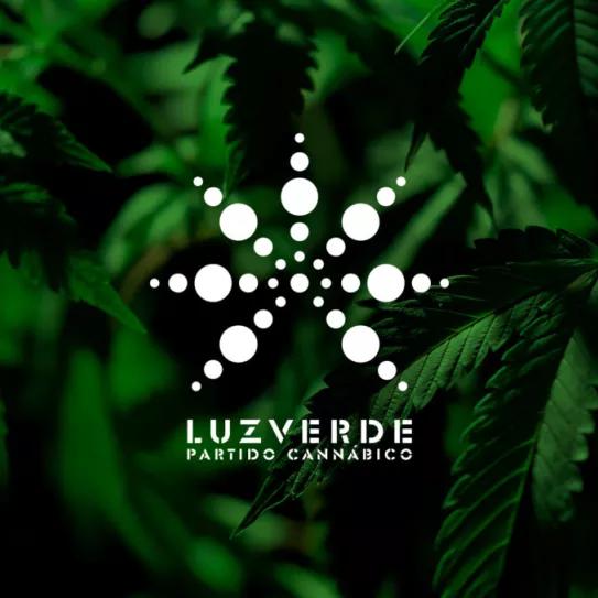 El Parlamento de Navarra pide al Gobierno central que archive la causa contra el partido Luz Verde 