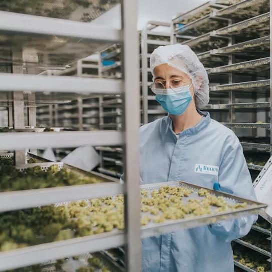 Linneo Health, de Juan Abelló, ocultó los sueldos de los directivos durante el ejercicio de 2020