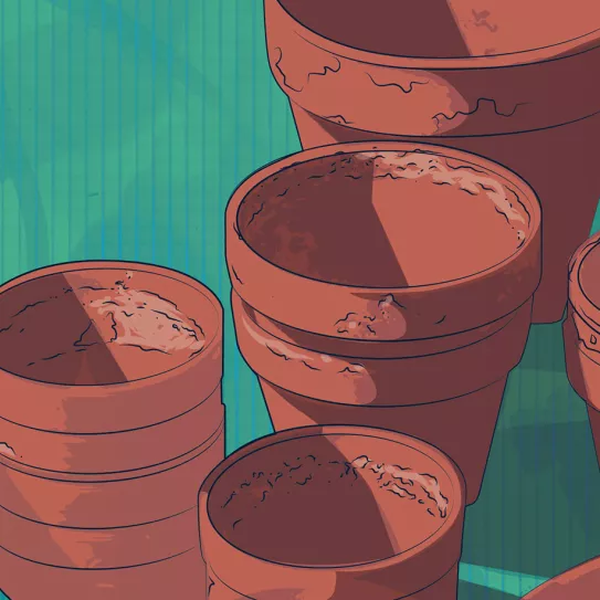 ¿Cómo debo limpiar las macetas? 