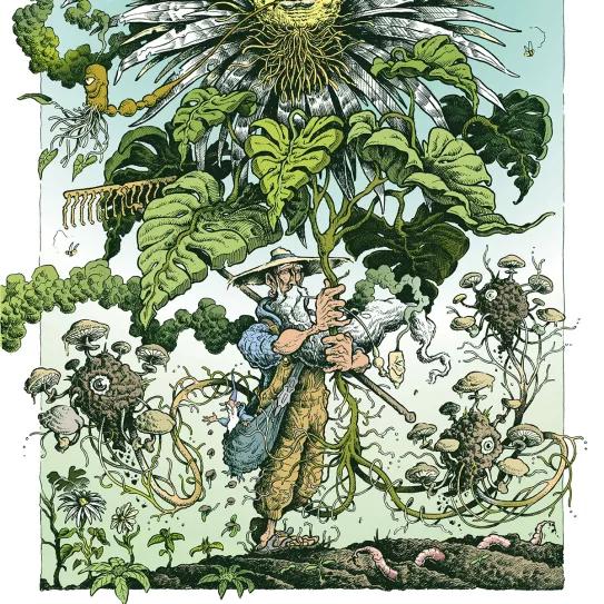 Mossy Giant, el gigante psicoactivo 