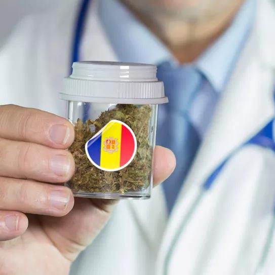 Andorra encarga la redacción de una ley para regular el cannabis medicinal