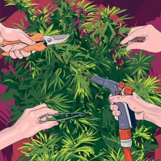 No consigo resultados