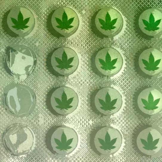 No hay excusa Editorial Cáñamo 293