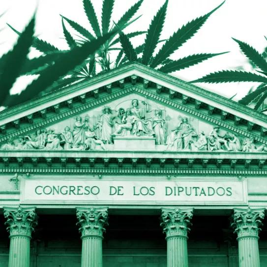 La subcomisión medicinal concentra los últimos ponentes en una única jornada 