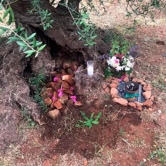 Homenaje a Fernanda de la Figuera: serás marihuana eternamente 