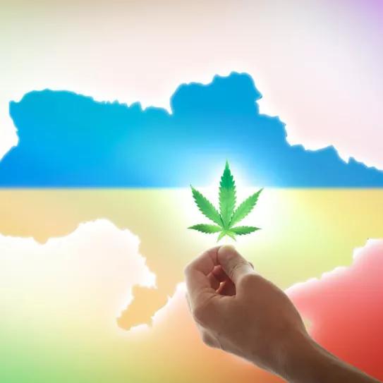El Gobierno de Ucrania impulsa la regulación del cannabis medicinal 