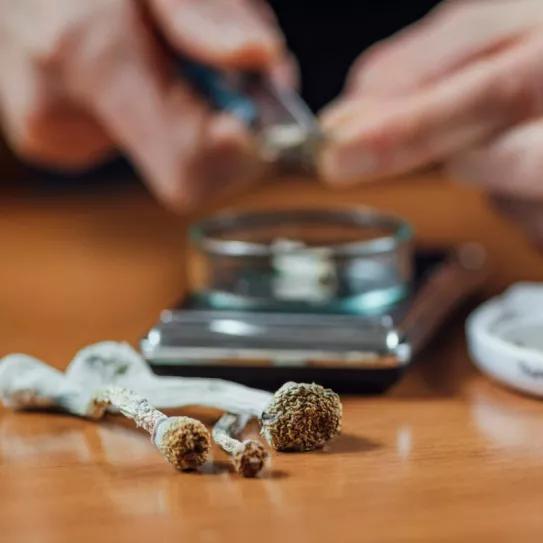 Las setas alucinógenas se podrán usar en Oregón, pero no por motivos espirituales