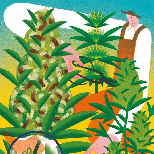 Julio: las primeras flores 