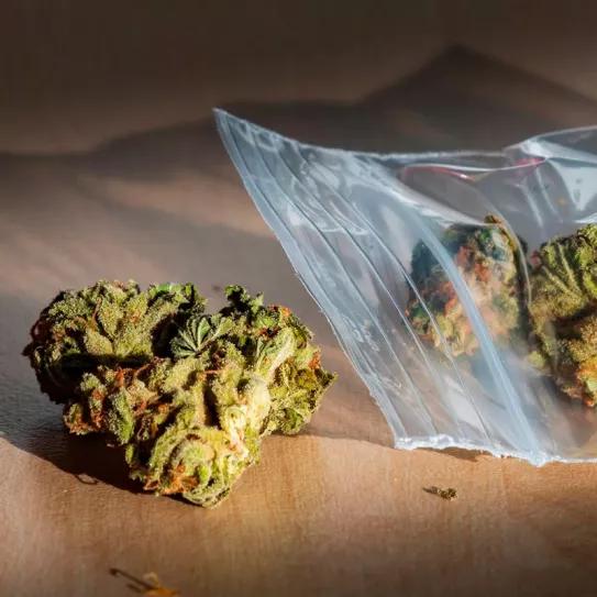 Lituania emprende la despenalización de la marihuana