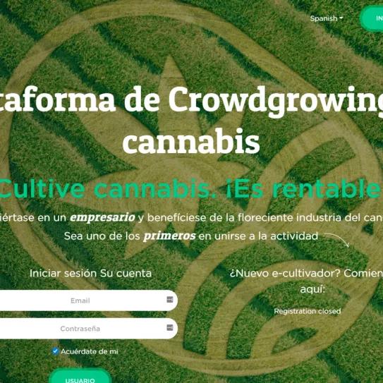 Una empresa de inversiones en cannabis desaparece con el dinero de sus inversores