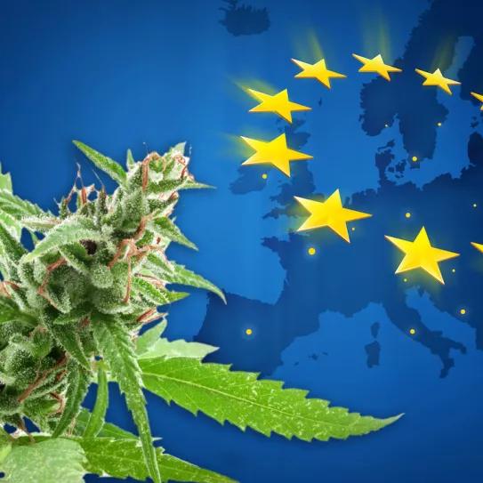Alemania, Luxemburgo y Malta se unen por la legalización europea del cannabis