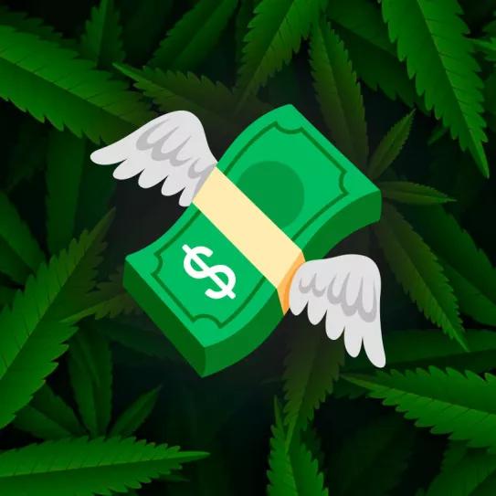 Cientos de personas demandan a Juicy Fields por la desaparición de su dinero 