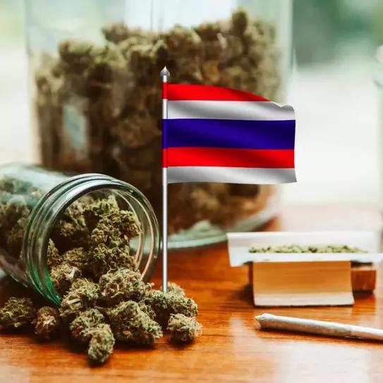 Podría haber una legalización del cannabis recreativo en Tailandia, dice su ministro