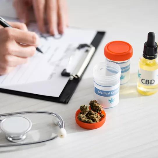 Médicos y farmacéuticos reclaman una regulación del cannabis medicinal en España
