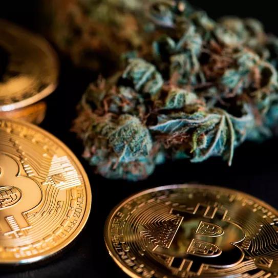 La Audiencia Nacional solicita la ayuda de la EUROPOL para el caso Juicy Fields