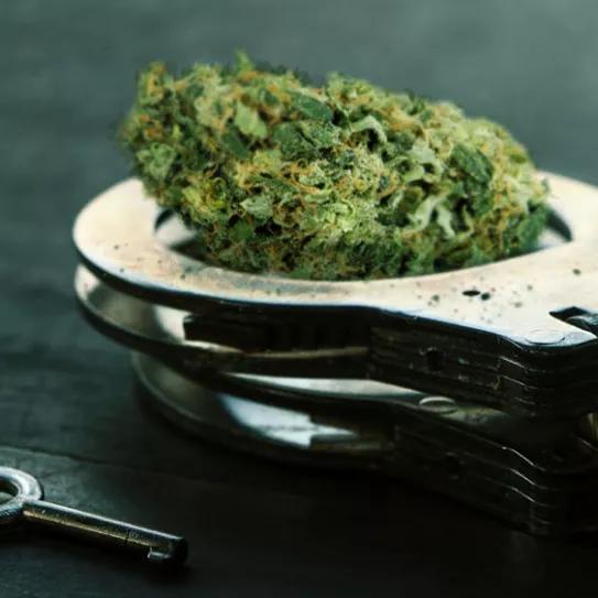 La administración de Justicia y Salud se preparan para acatar la despenalización de EE UU 