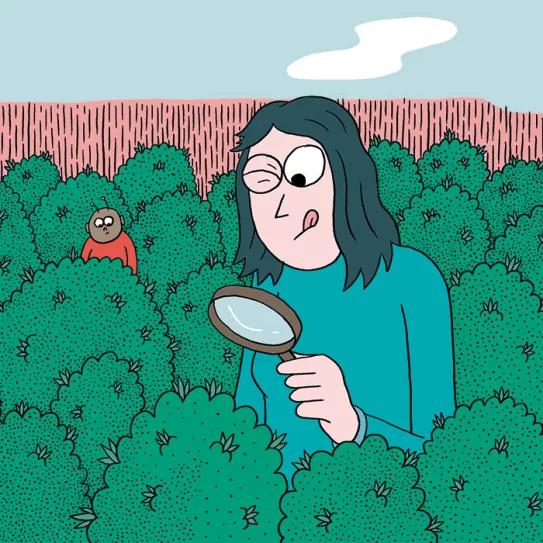 Ocho consejos para preparar la cosecha 