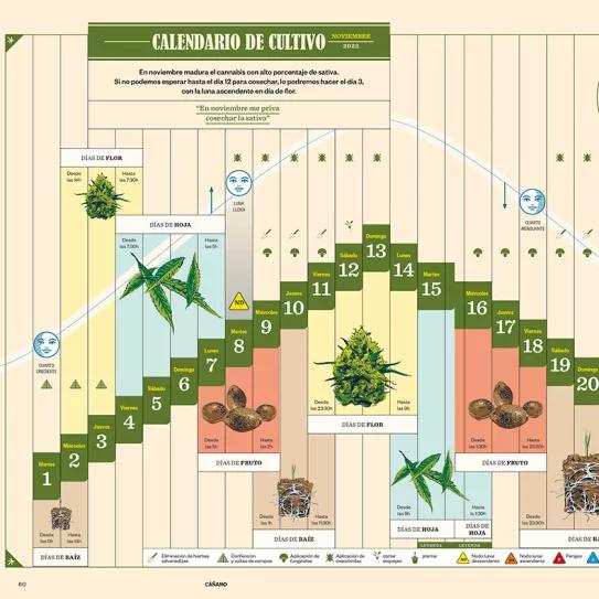 Calendario biodinamico noviembre del 2022