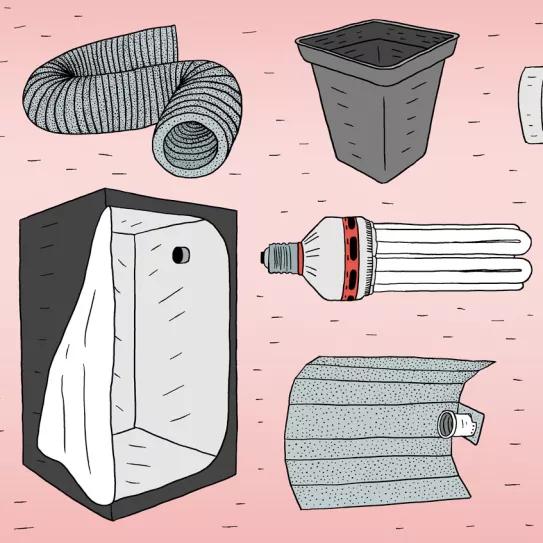 Diez pasos para empezar a cultivar con un kit de interior 