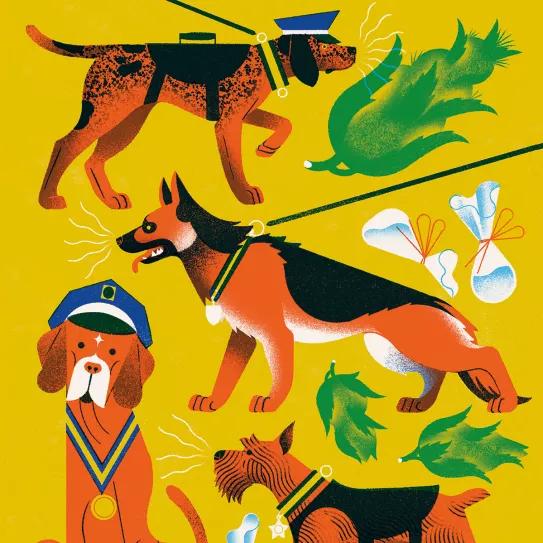 El peligroso auge de los perros policía 