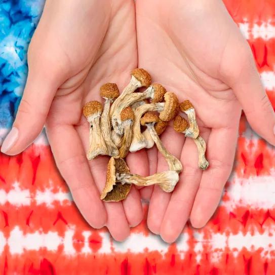 Una docena de estados de EE UU se preparan para legalizar los psicodélicos 