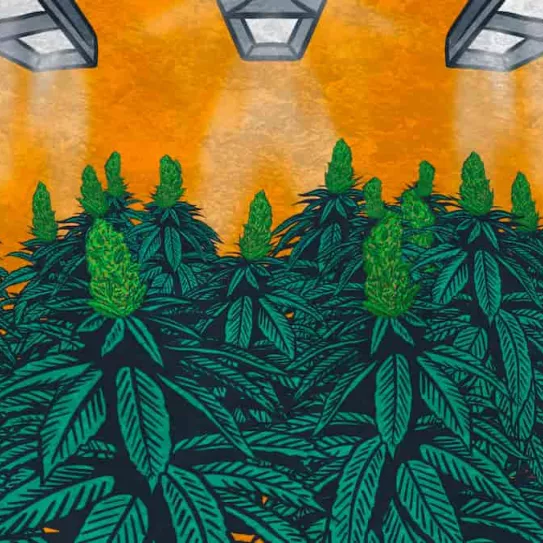 Cambiar del exterior al interior y viceversa