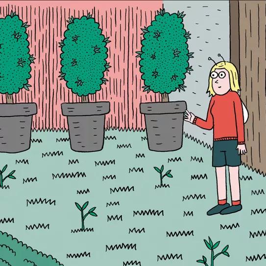 Siembra en diciembre: doce trucos y consejos 