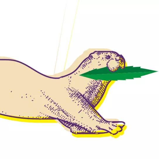 Observatorio Norteamericano Adiós 2022