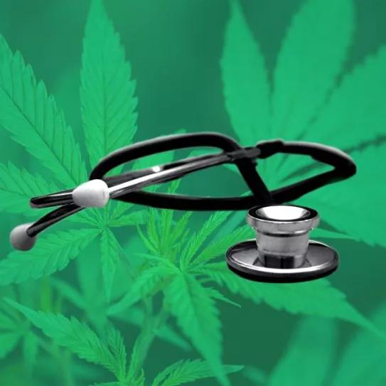El cannabis no daña la salud pública según los resultados de un estudio