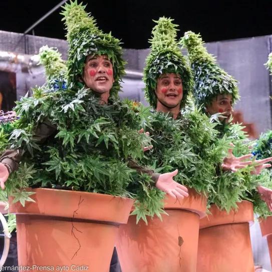 Las chirigotas de Cádiz se visten de marihuana 