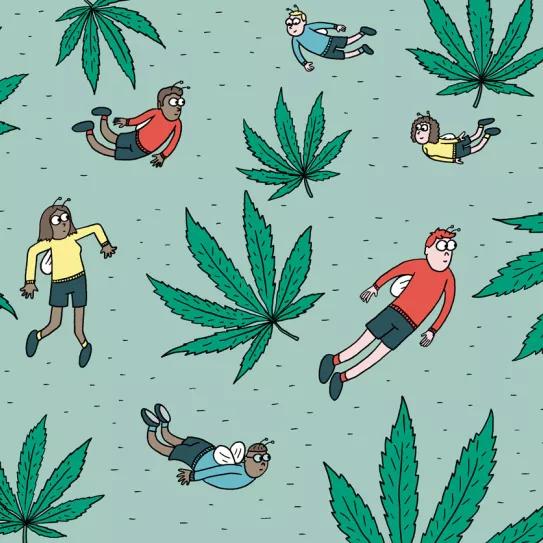 Ocho sugerencias sobre defoliación en interior