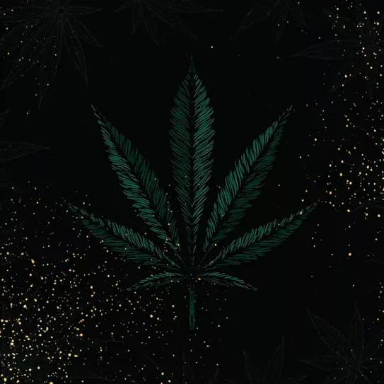 Ni CBD ni cannabis medicinal