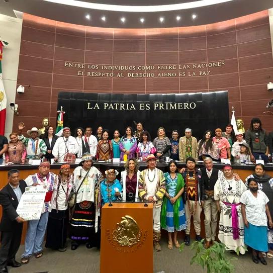 México camina hacia la legalización de los hongos alucinógenos 