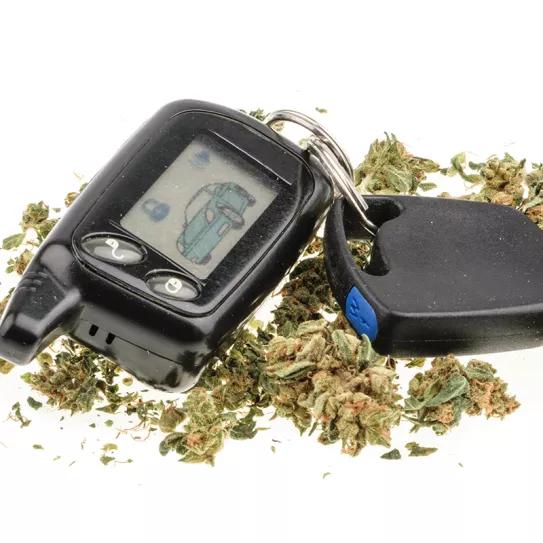 Piden parar las multas de cannabis a los pacientes que conducen 